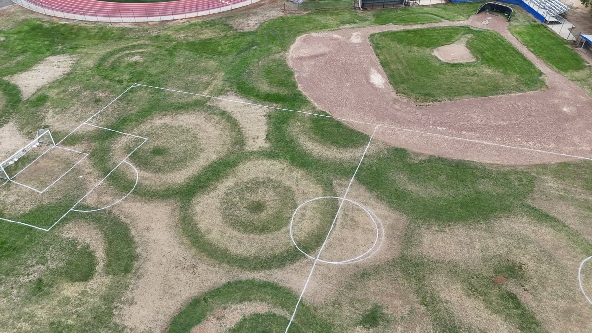 Shasta High School TRIMSNet