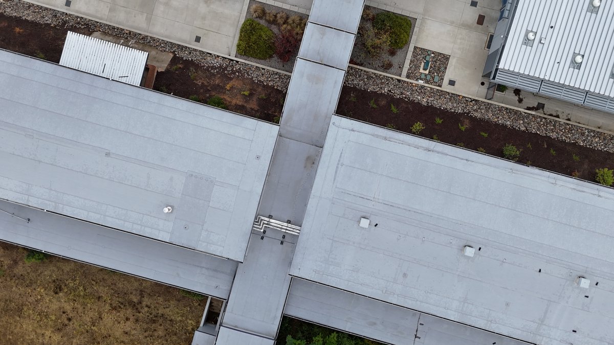 Shasta High School Youth Family Programs County Foster Care