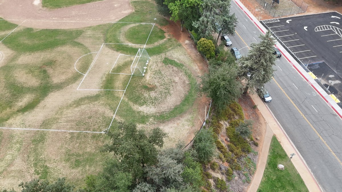 TRIMSNet Michael Chittim Associates Inc