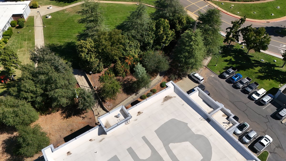 Warreb Yvette Richard A Look Inc