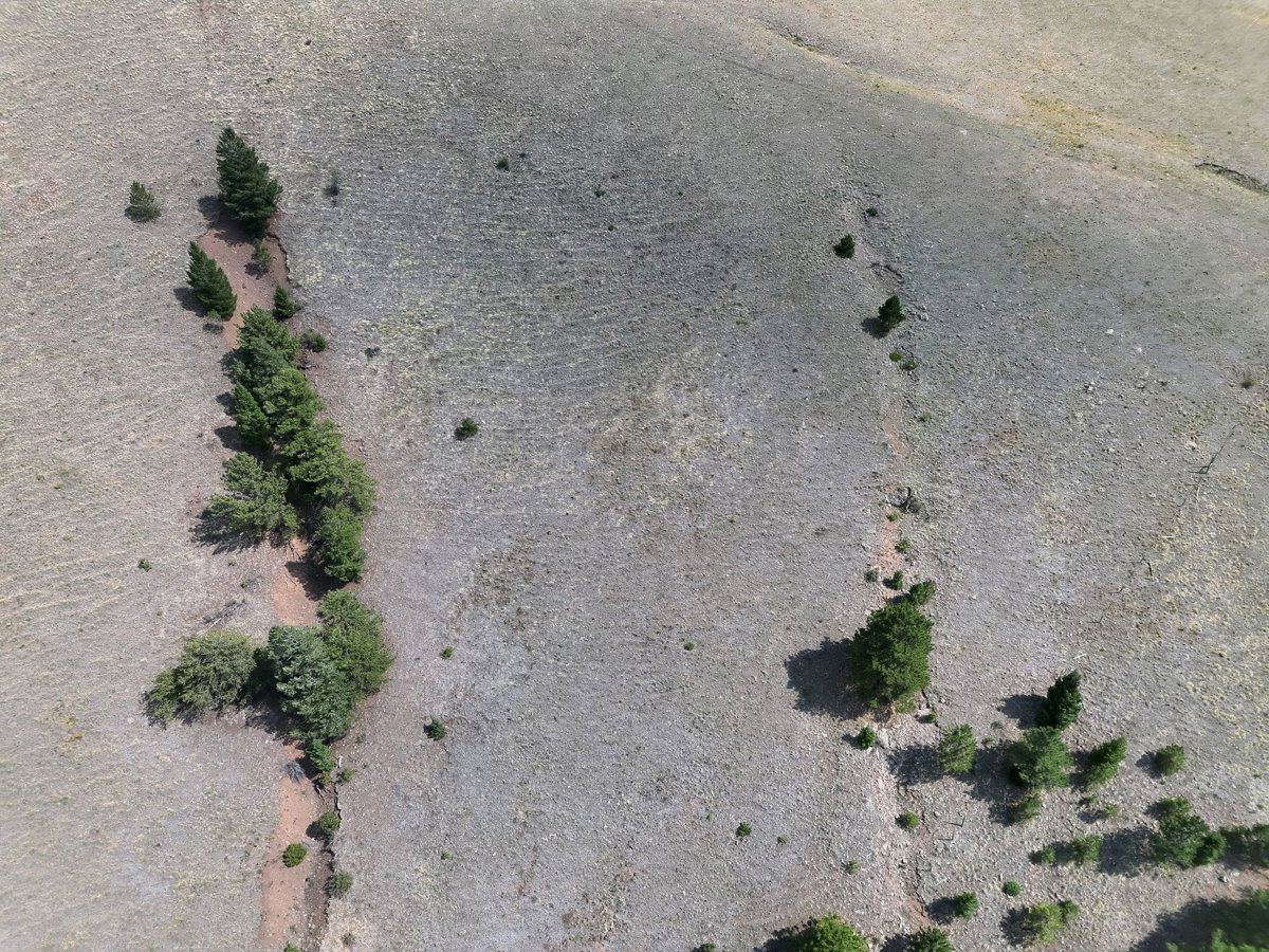 Mountain Meadow Cabin in Cotopaxi on 40 acres Secluded with Panoramic Mtn Views Vacation Home