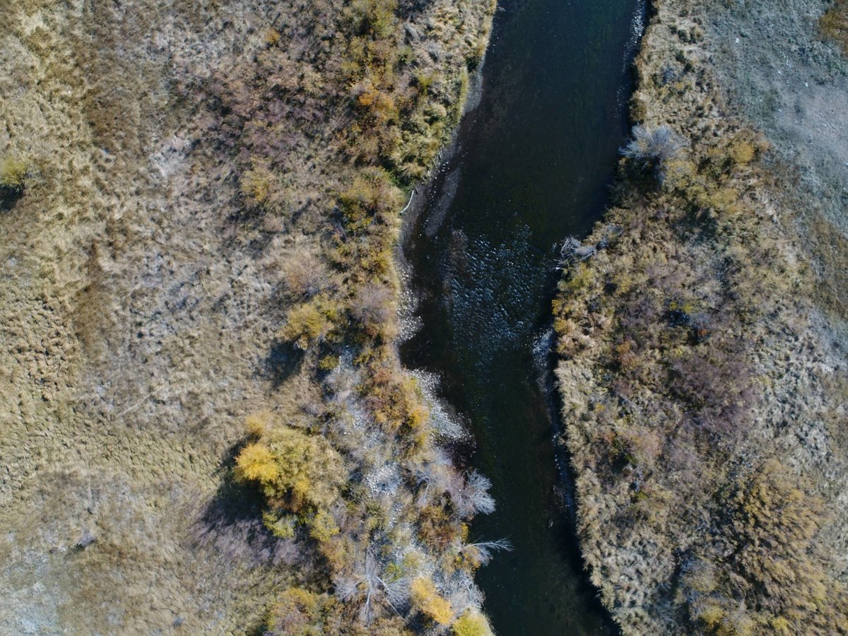 Legacy Electrical Inc gorgeous modern cabin on private ranch