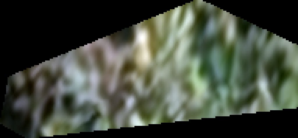 Woodland Oaks Southern Homes S E McDonough Associates