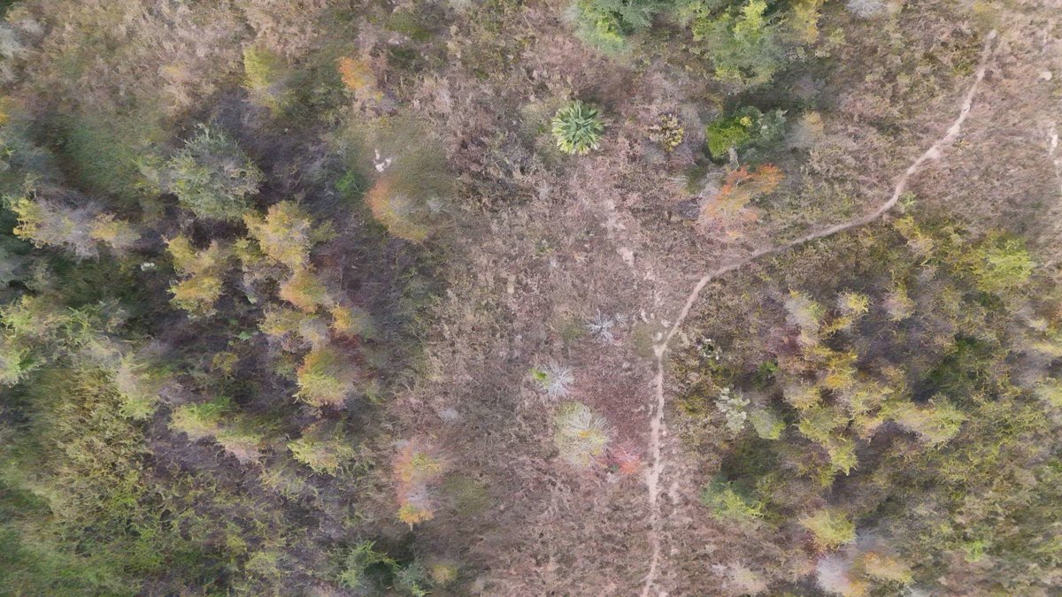 Electrical Substation Clermont RC