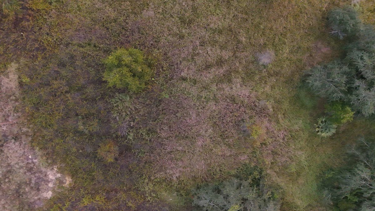 Electrical Substation Interiorscapes