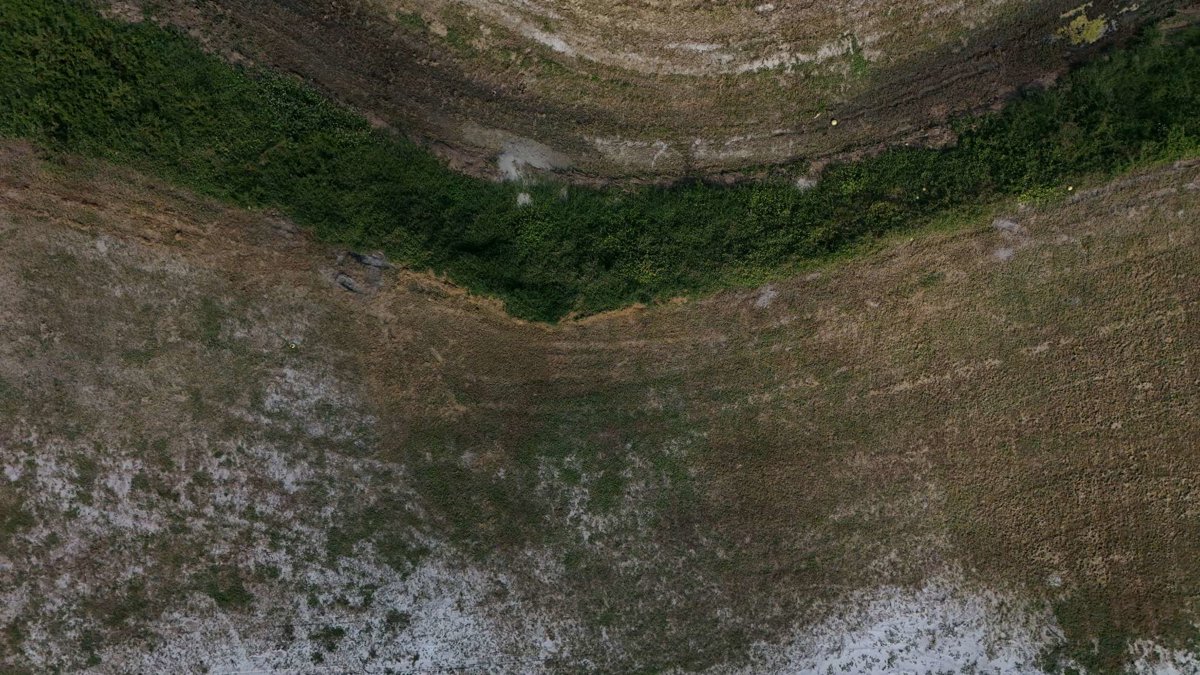 Edgewood Cemetery Brazas tacos 2