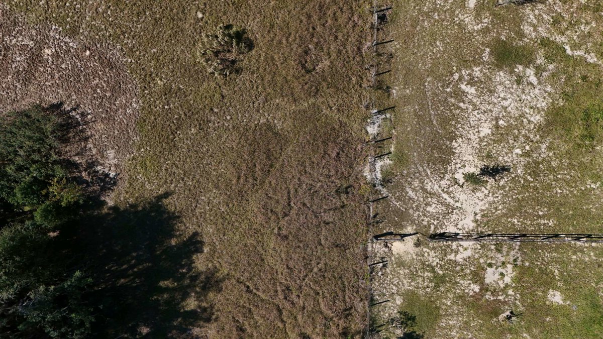 S J Nursery Inc Edgewood Cemetery