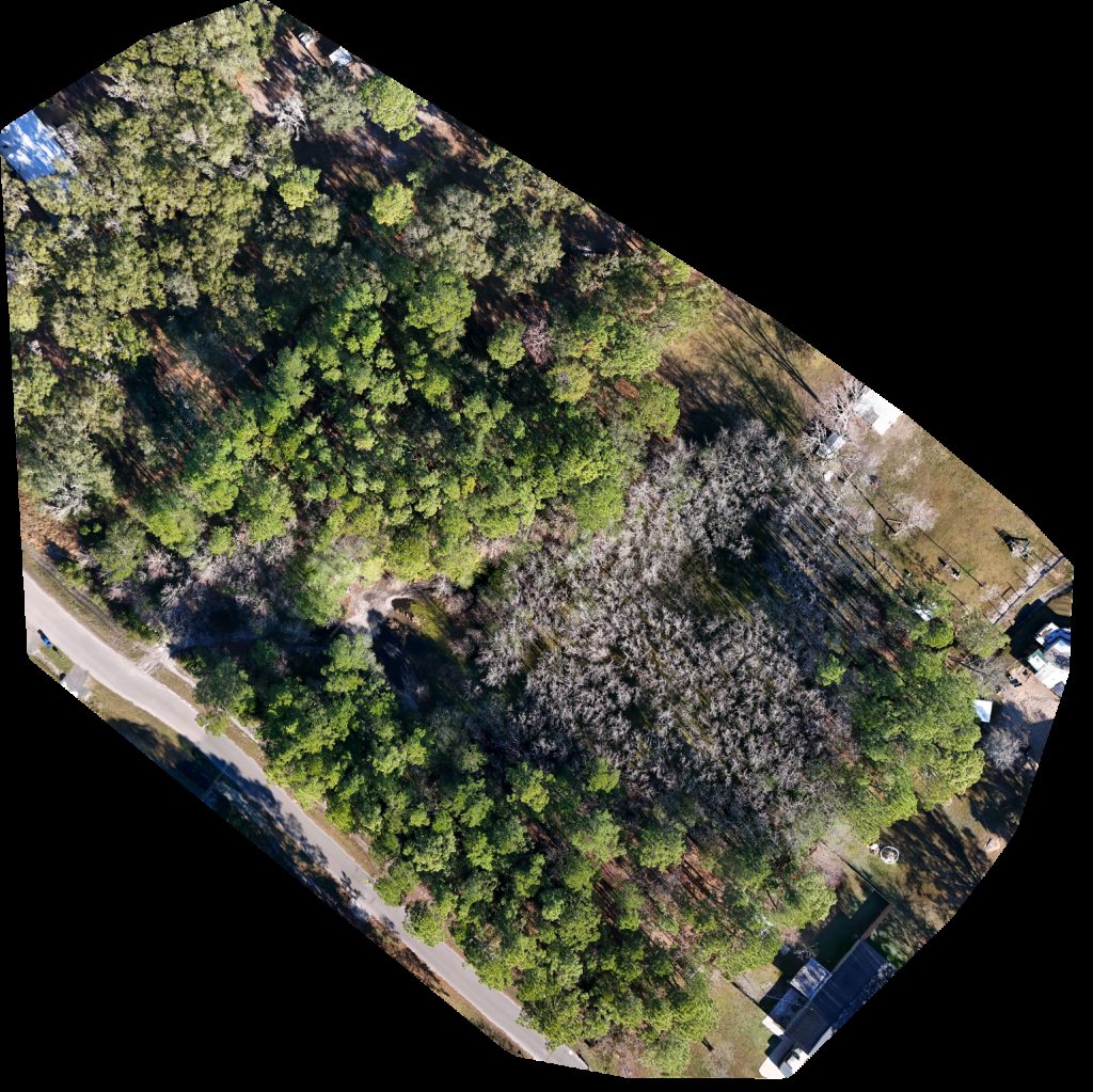 Bacom land Services LLC Boxwood Ivy Finds