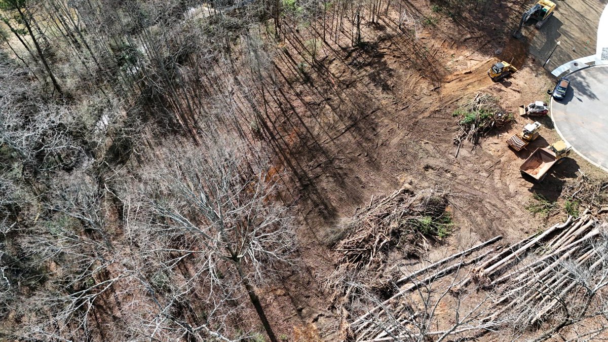 NEW SEASONS CONSULTING SERVICES LLC LADC