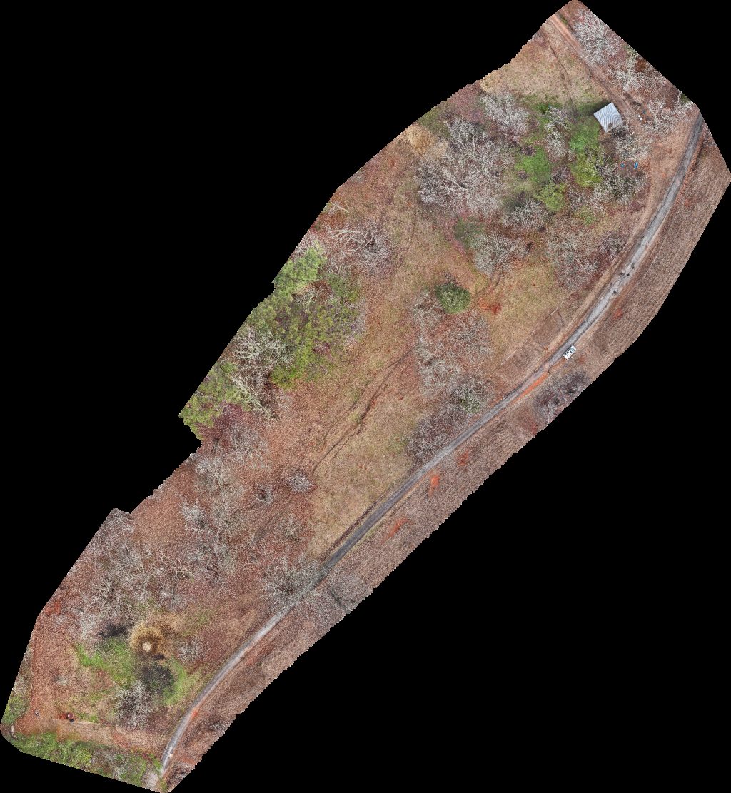 Speedy Storage The Philly Hut