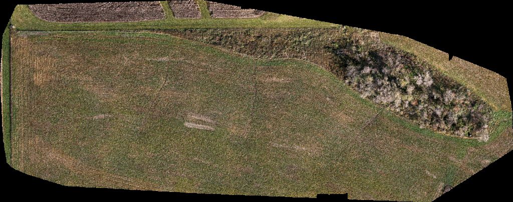 Highland Hills Katahdins Bear Creek Anglers