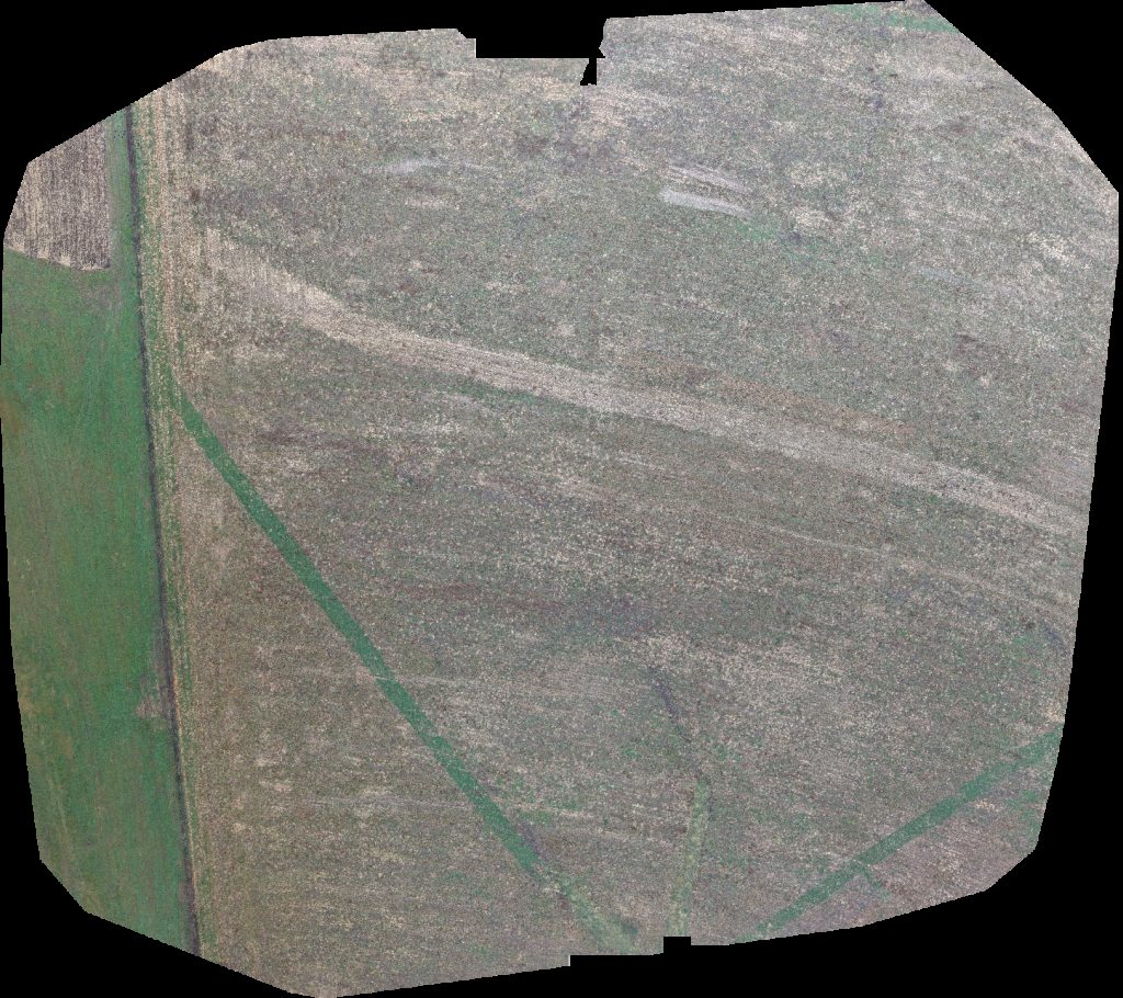 Highland Hills Katahdins Bear Creek Anglers