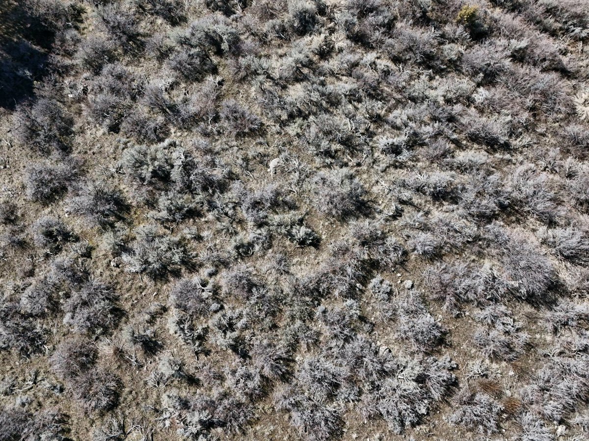 7 mins from Lava Hot Springs Polynesia Themed Yurt