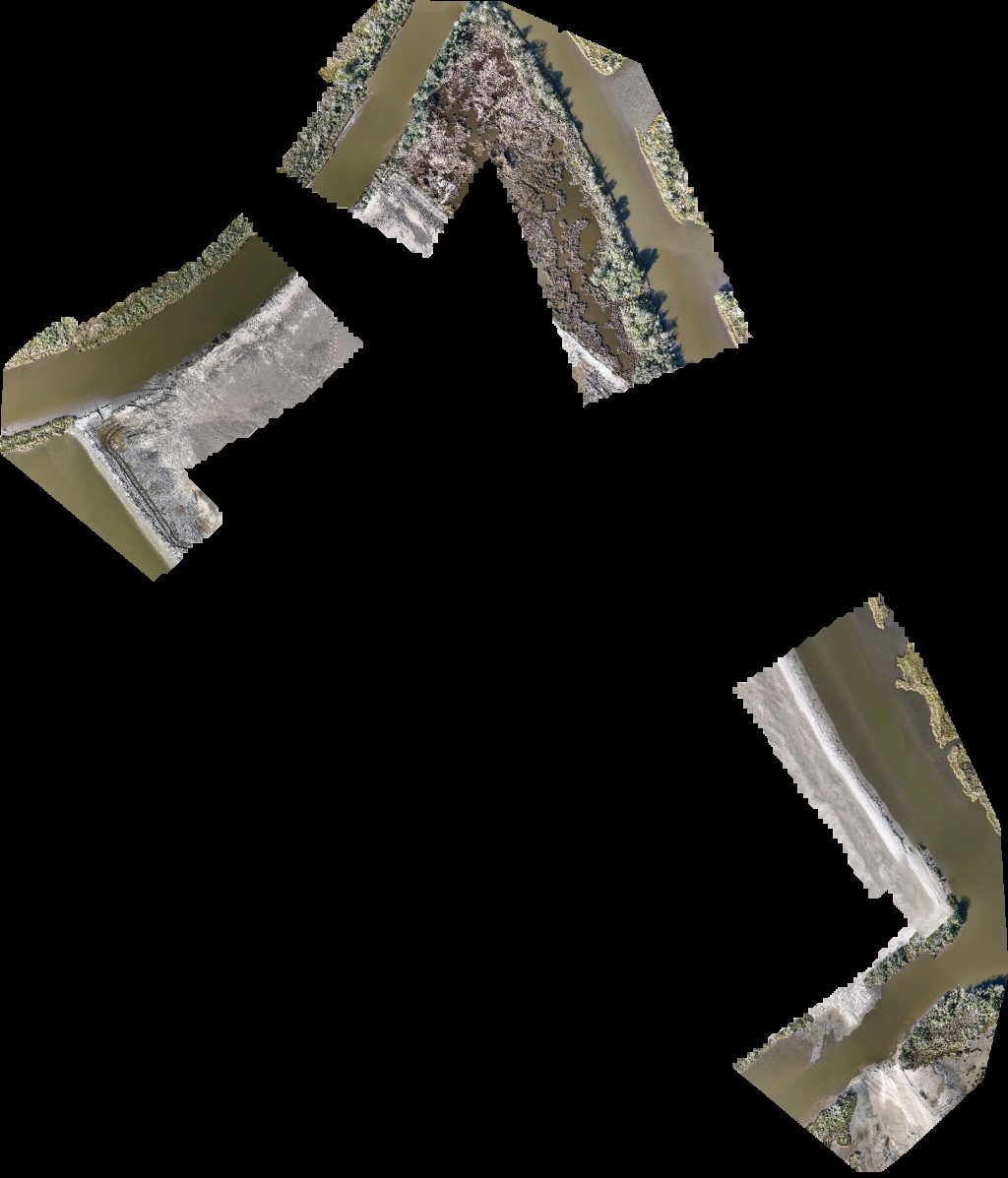 Water Plant Ship Magnolia