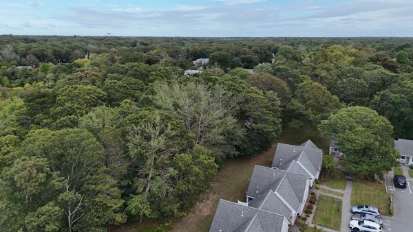 Lower Cape Community Housing Bank Street Cemetery