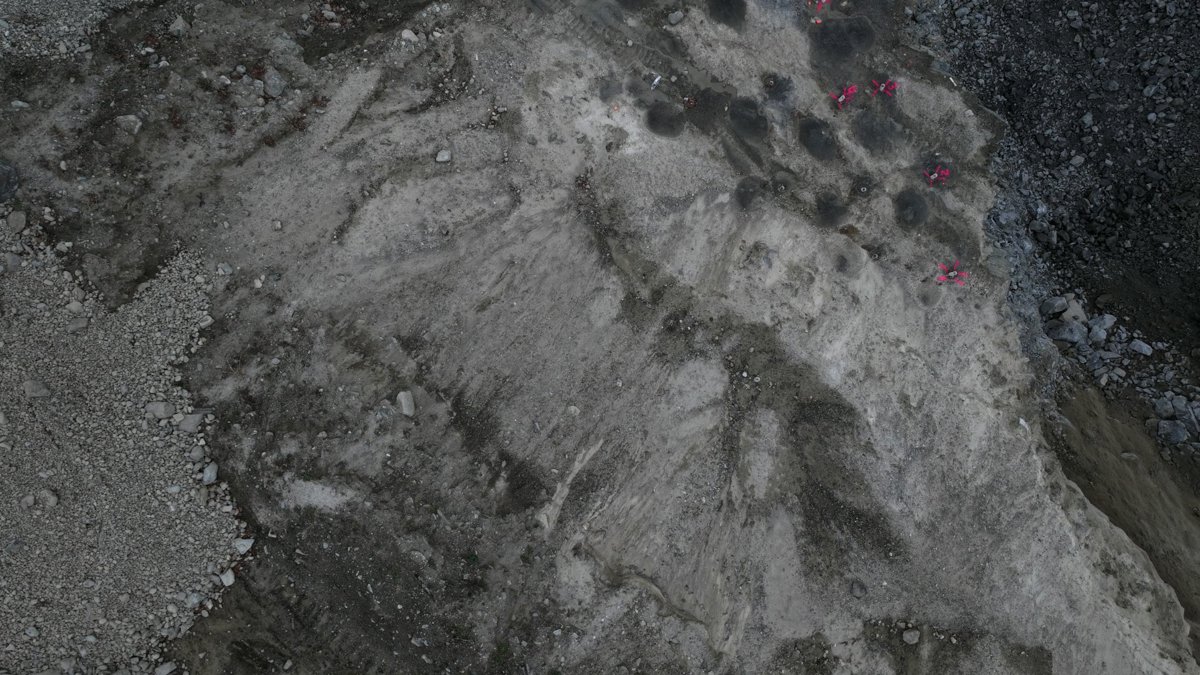 Onyx Transpot Innovative Mold Solutions