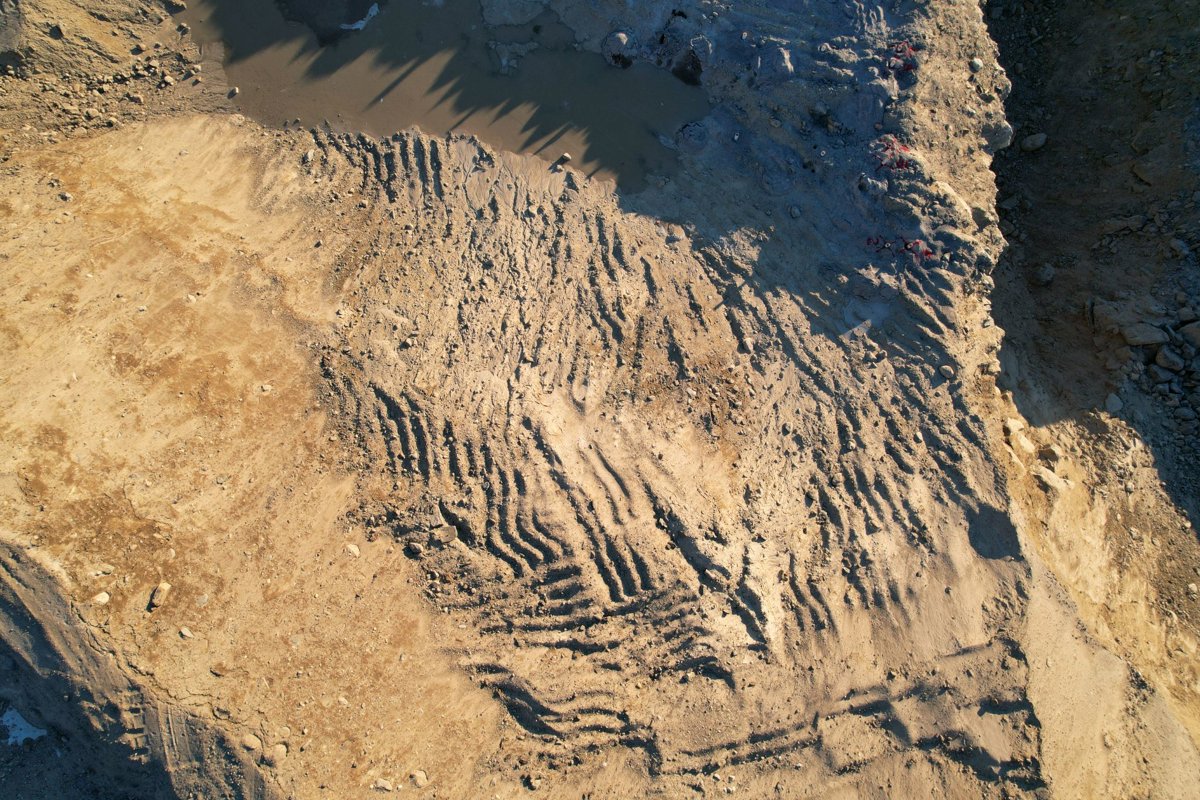 Onyx Transpot Innovative Mold Solutions