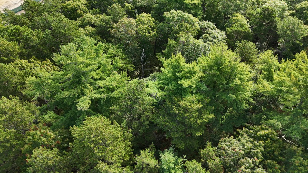 First Citizens Federal Credit Union Branch Walgreens Photo