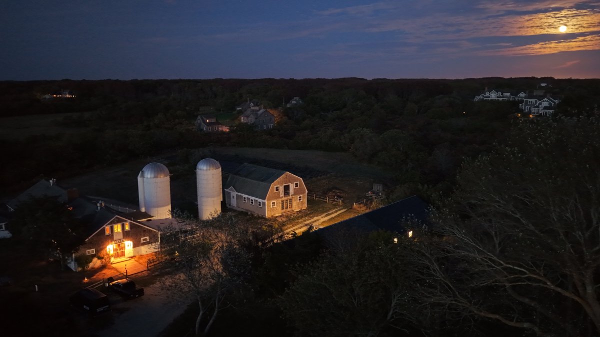 Polpis Harbor School of Design and the Arts