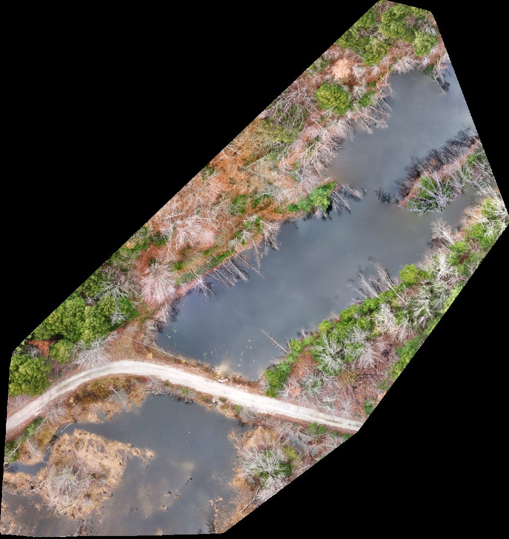 Pegmatite Mine BD 11 Plate Albany Area Maine Geological Survey Woodlawn Cemetery