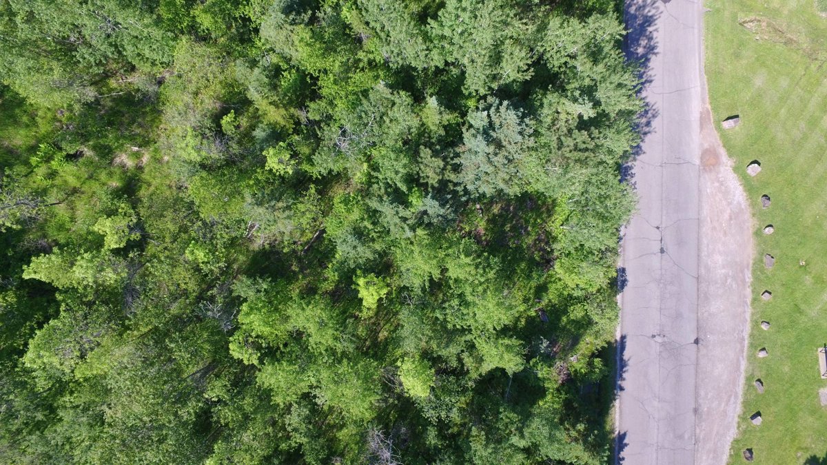 Kitchi Gammi Park North Shore All American Scenic Drive