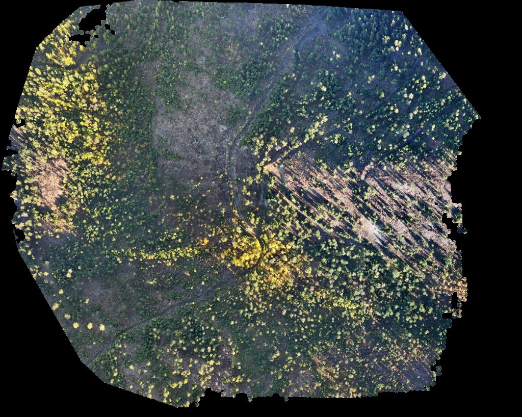 BPA Substation Bear Valley CC RV Park