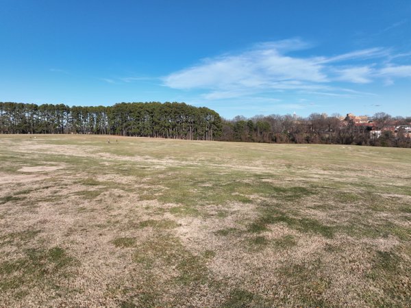 L M Warehouse and Packing INC Dorothea Dix Hammock Area
