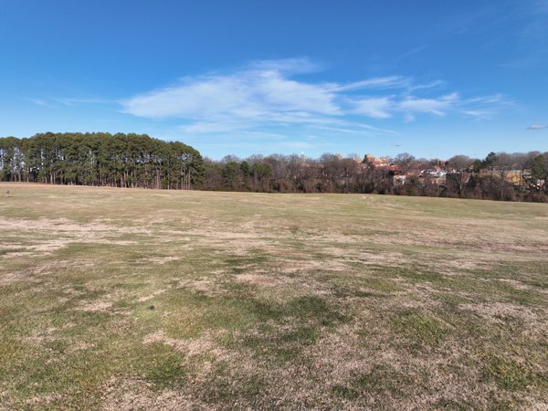 L M Warehouse and Packing INC Dorothea Dix Hammock Area