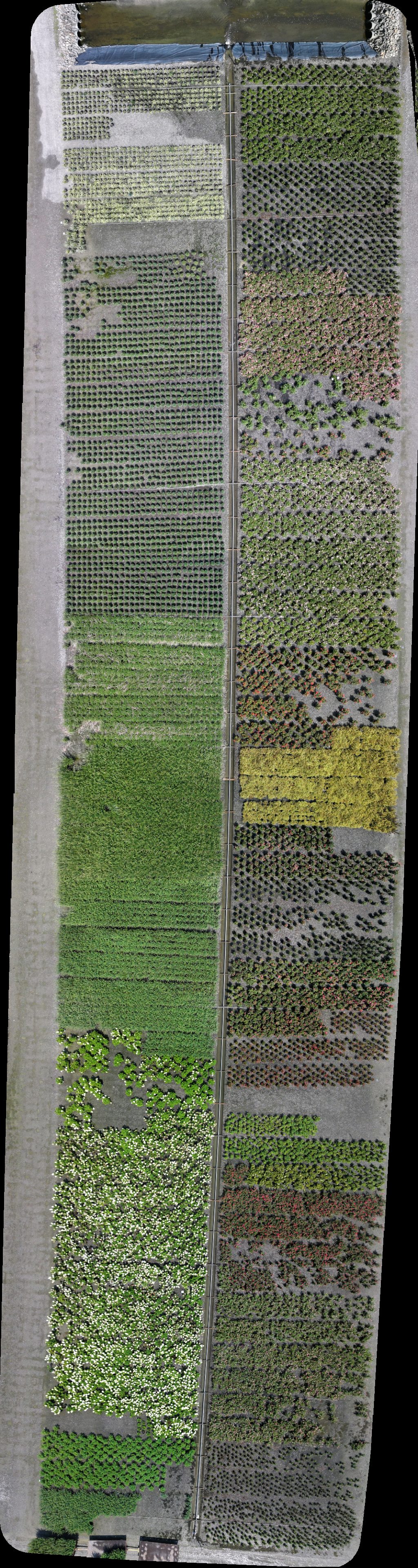 Greenleaf Nursery Co Burnette Farms Recycling Center