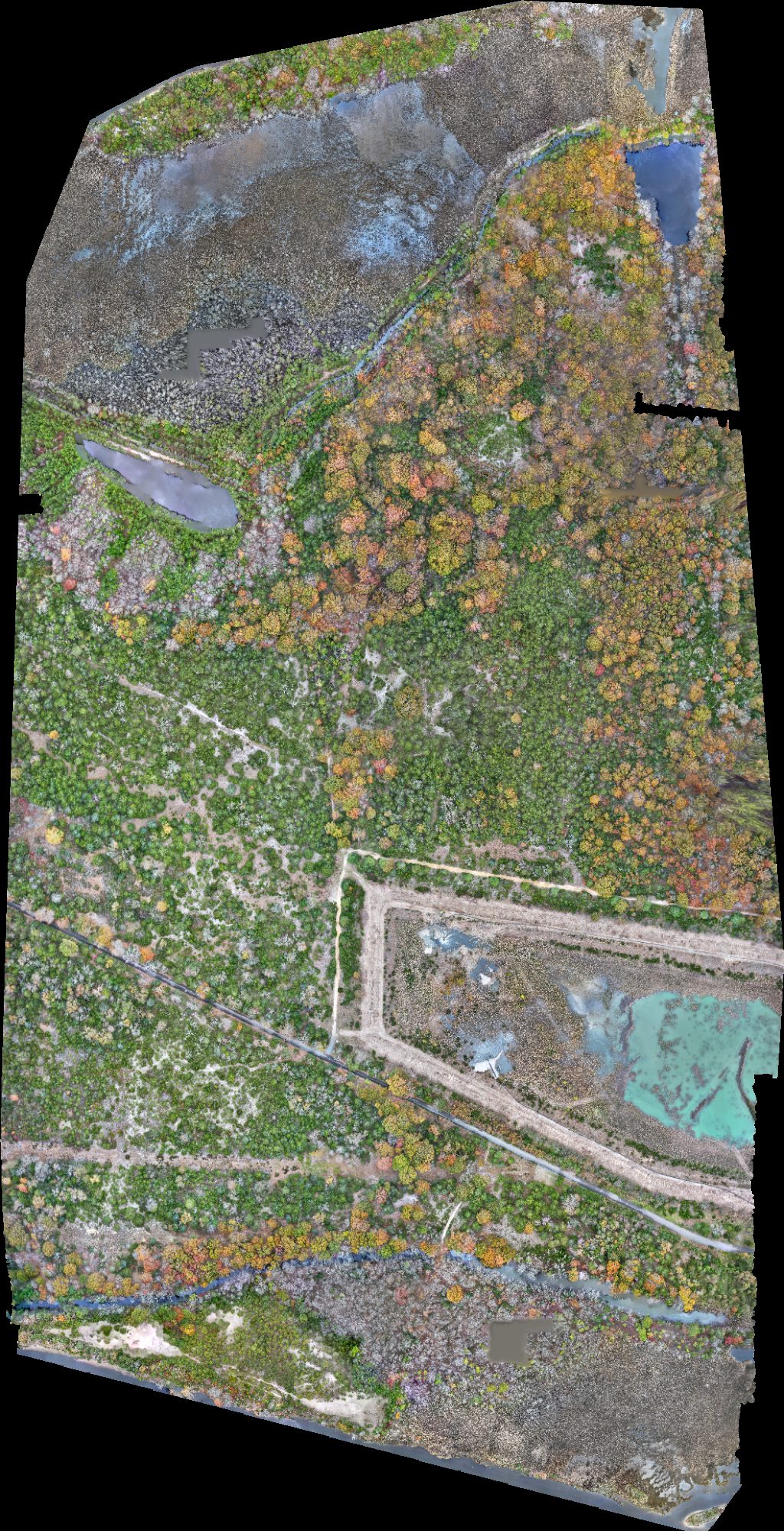 Field D Little League