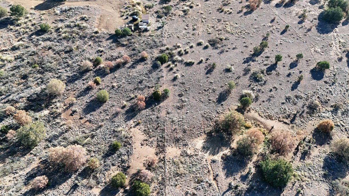 JayaVision dayanAMAG