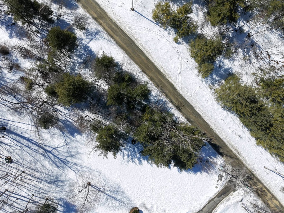 Roaring Brook Horse Farm Lumber For Sales