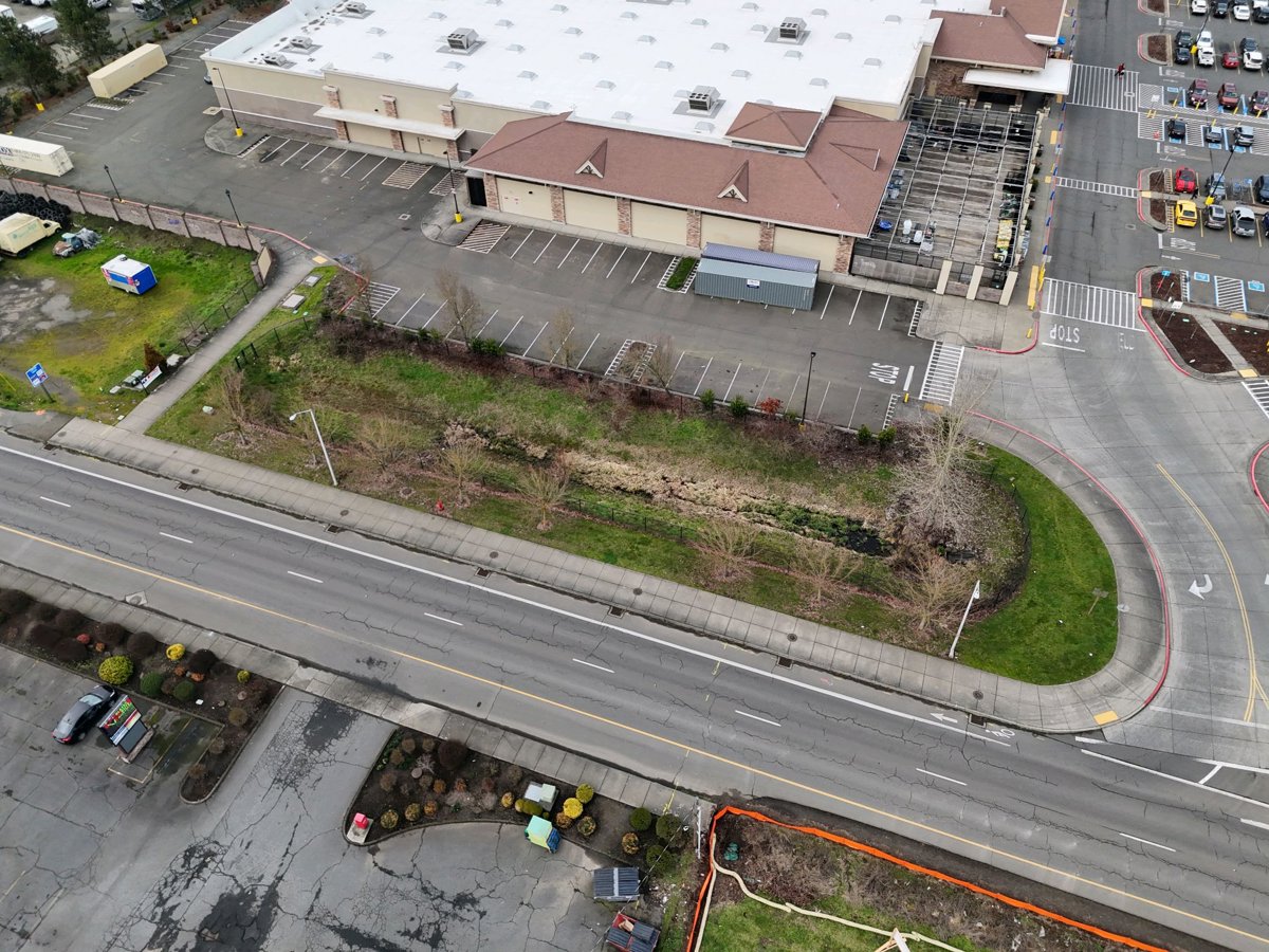 La Nueva Market Inc El Campesino LLC