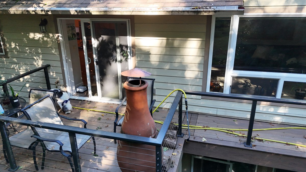 Eagle Roof Cleaning Pnwanderland Adventures