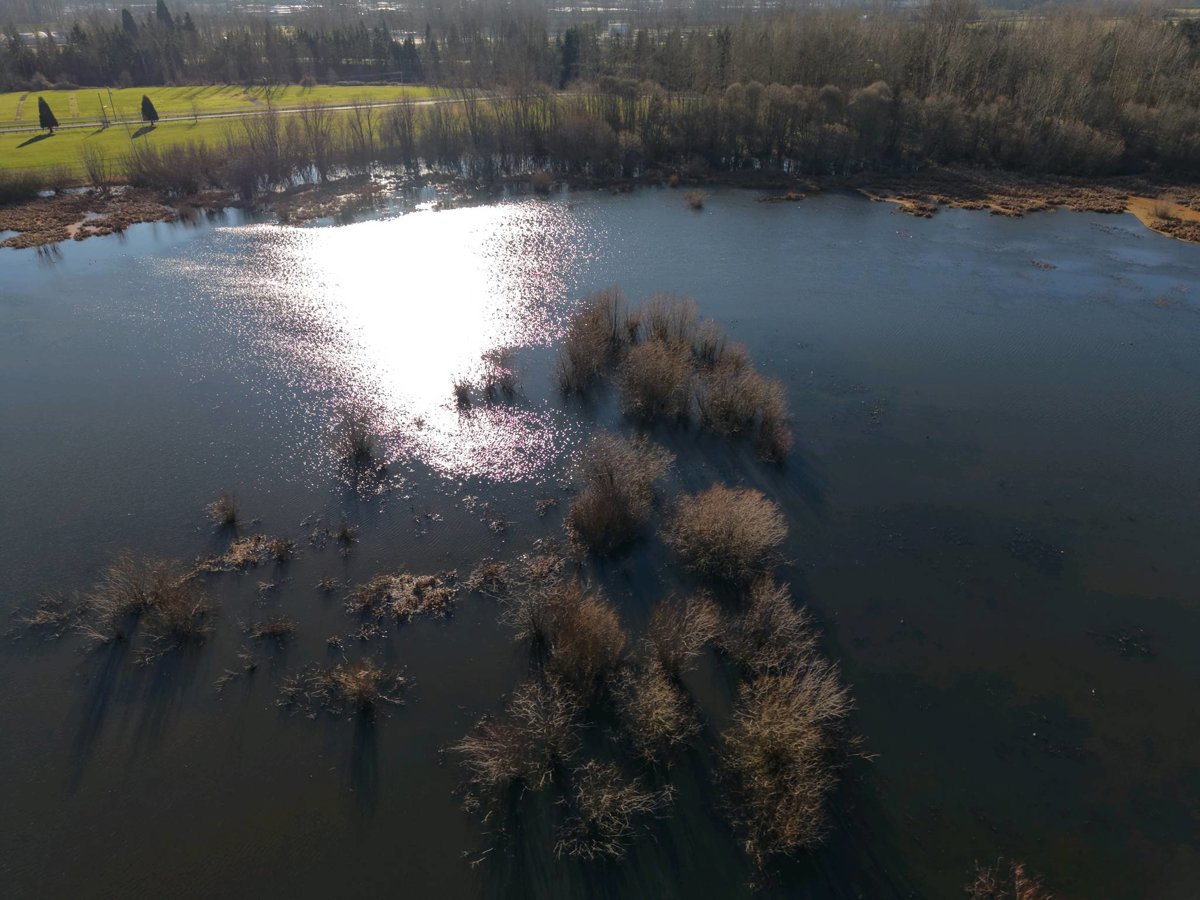 Delta Park West Off Leash Dog Vanport Marker