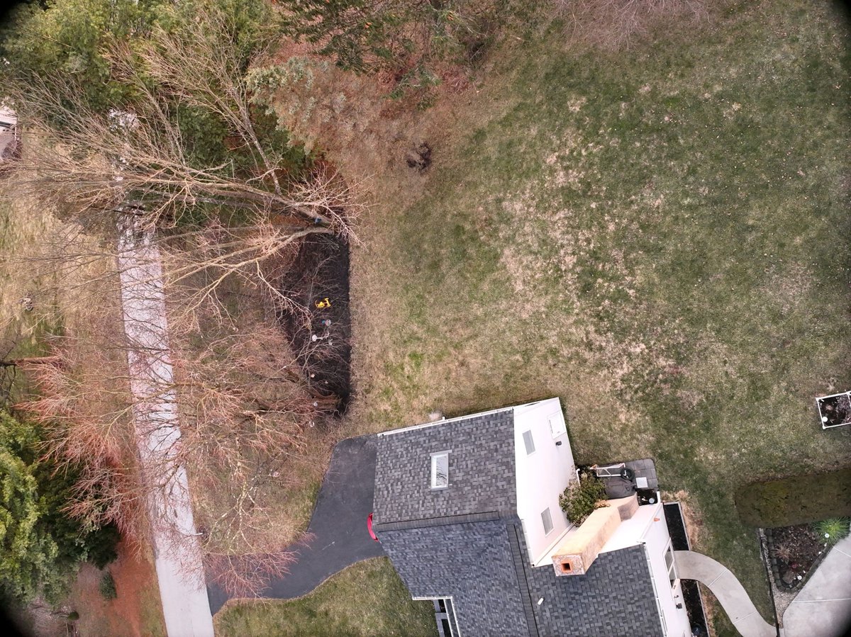 Stargazer Aromatics VeteranGuruDogHandling L C