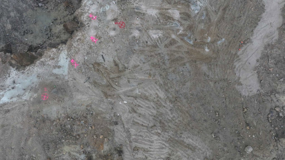 Tech International Gordon s Firewood