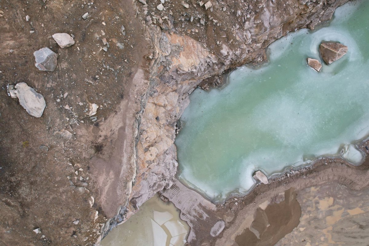 Tech International Gordon s Firewood