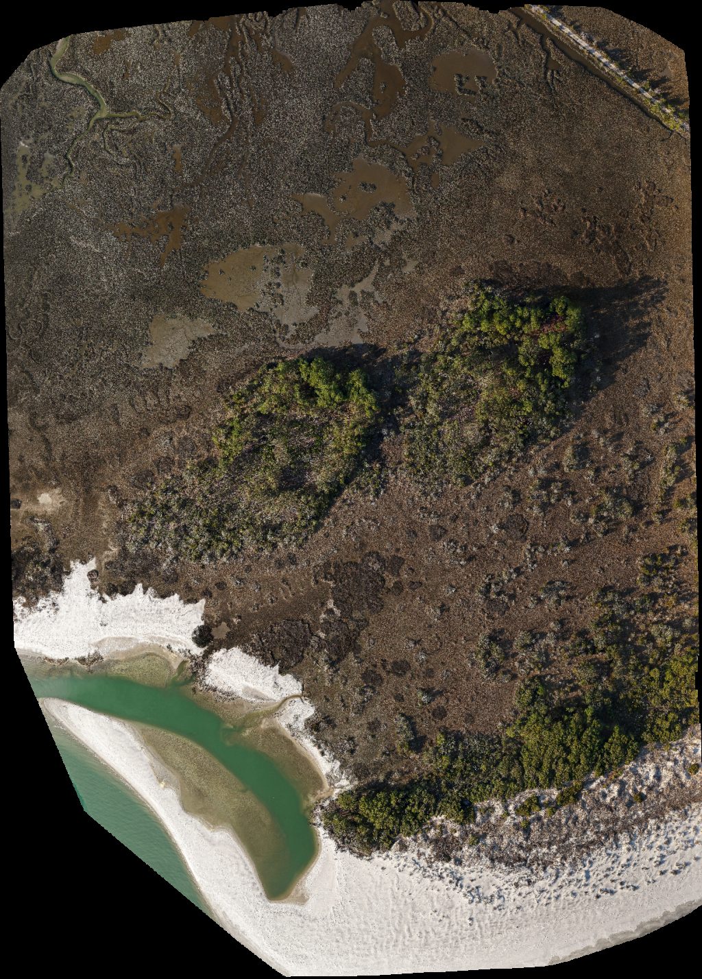 INLET POINT Villas Fantastic 1st Floor Unit Cherry Grove North Myrtle 2 BDRM Frink Park