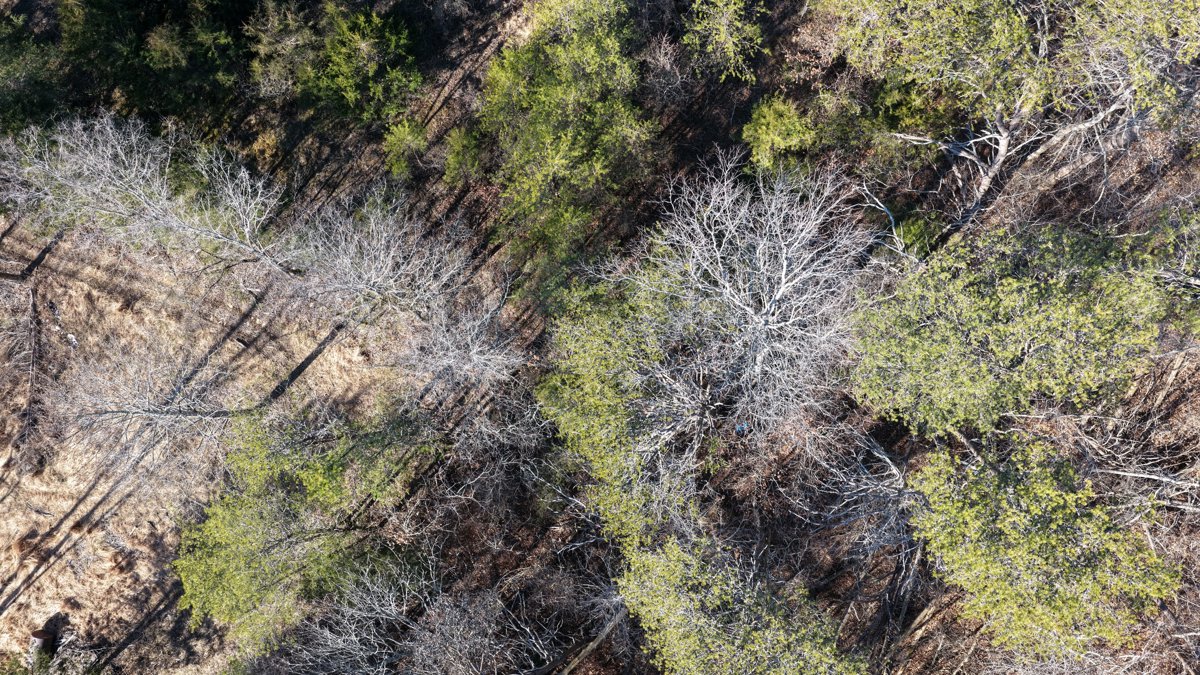 Barnes Tint Shine LLC Ez Stop