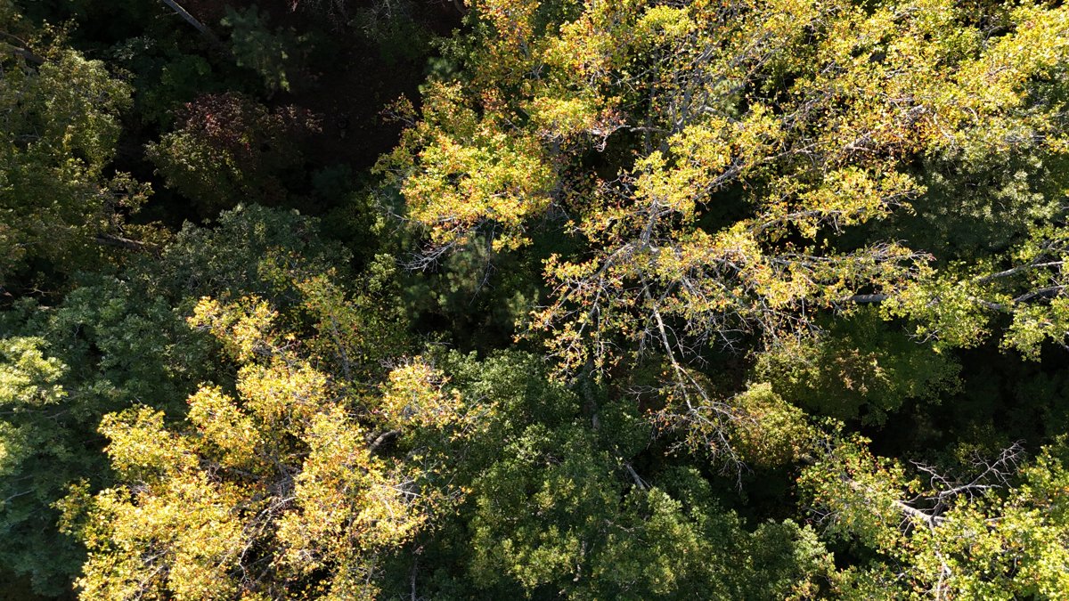 Cast Itchers SK Performance Horses