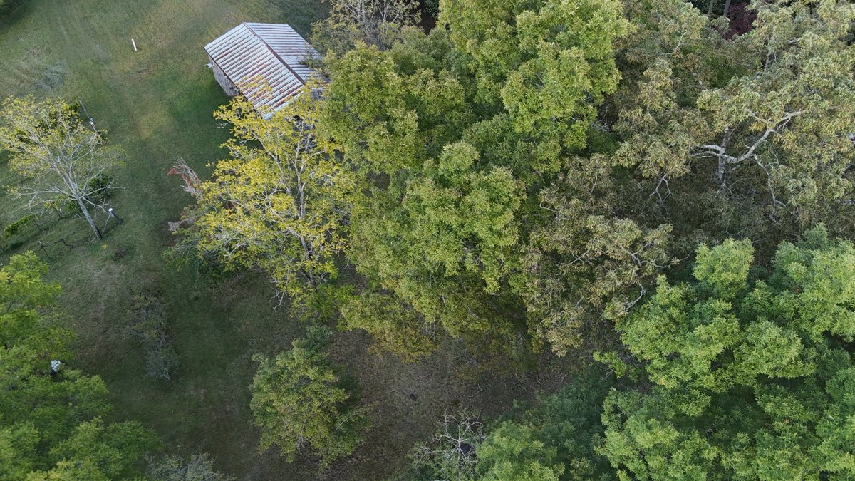 Cast Itchers SK Performance Horses