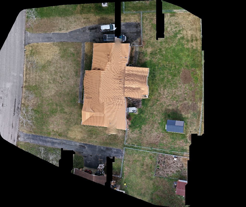 Fish To Cure Diabetes Org The Notarizer