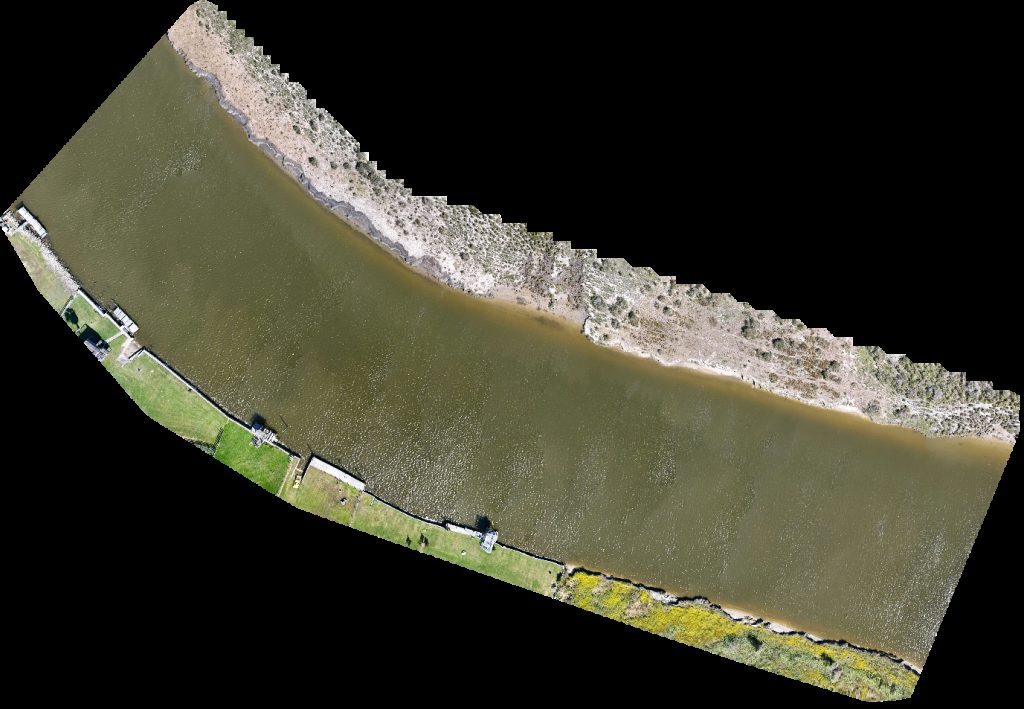 Circle G Ranch on the Bayou Emelifes Farm Inc