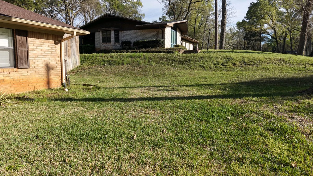 Virginia Black Family Paradise with Trails Centrally Located w Foodie Kitchen New Bathroom