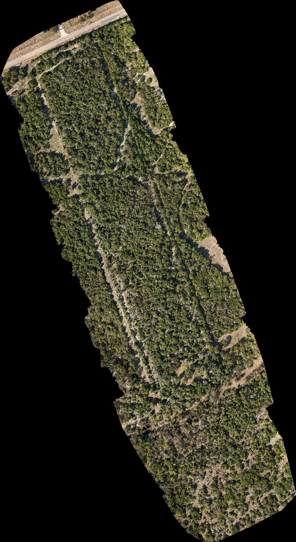 Wilmingham Springs Baptist Church Mustang at