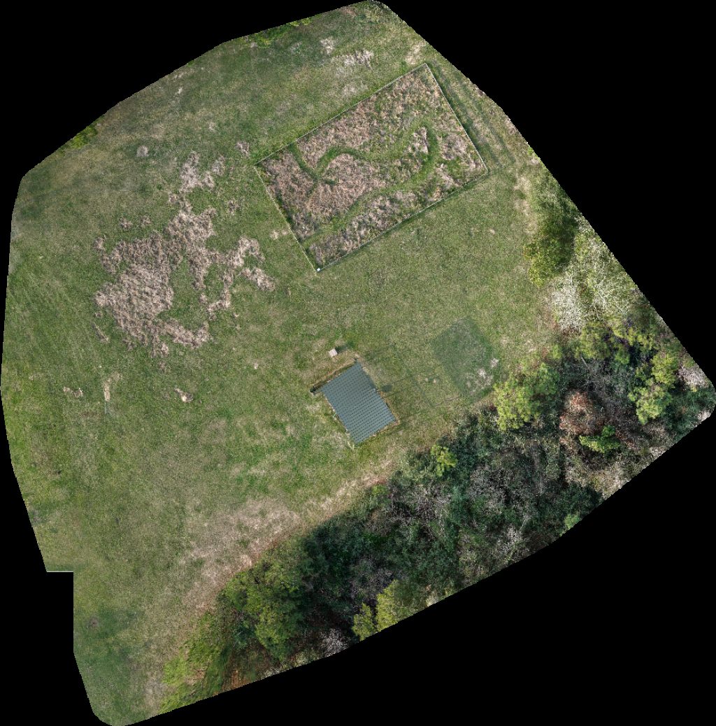 Pundt Park Bibi Mini Me Bush Dog