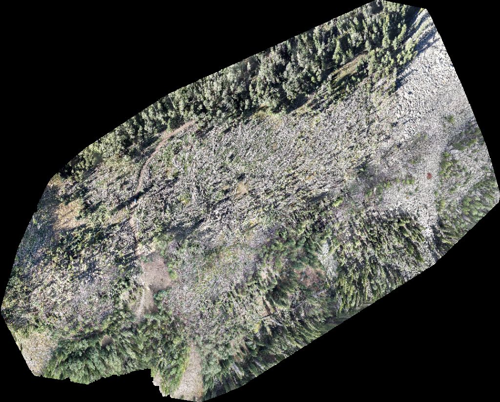 Geyser Pass Yurt Taylor Ridge Ranch and RV Park