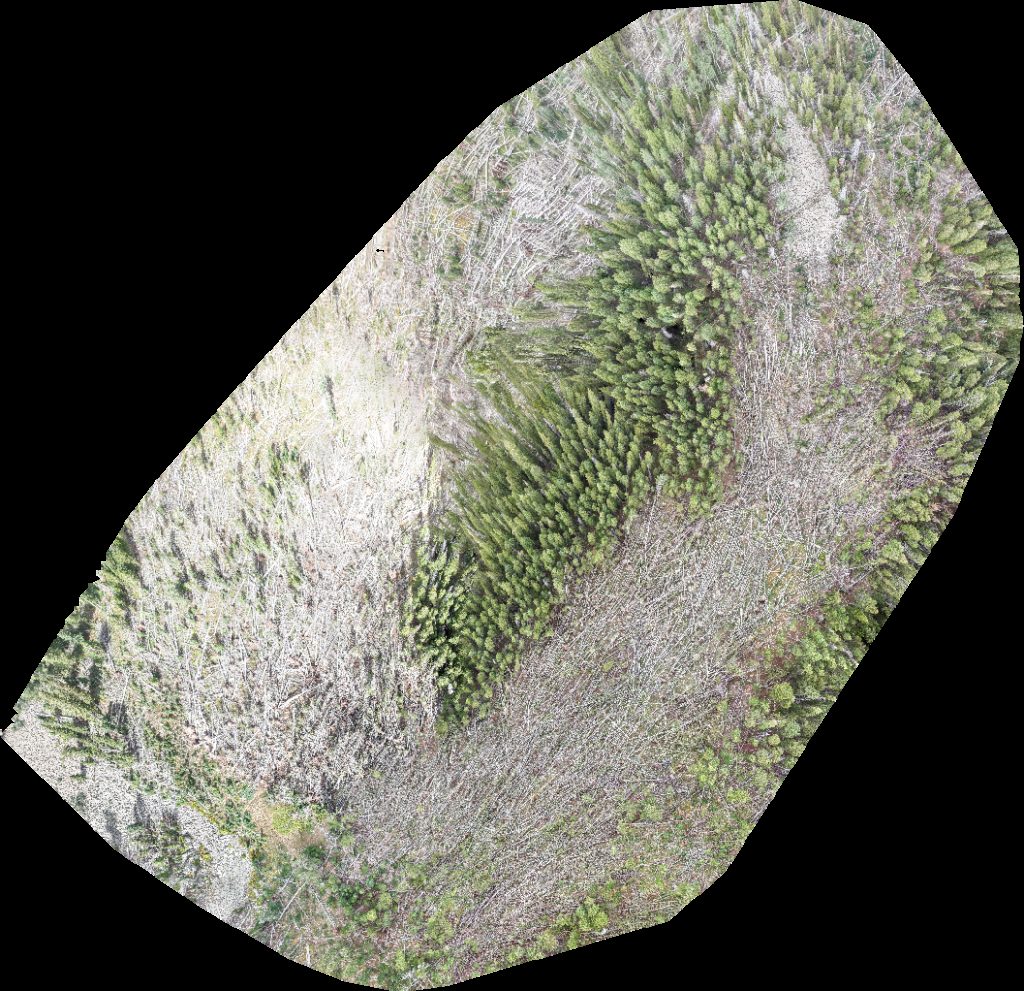 Geyser Pass Yurt The Whole Enchilada Burro