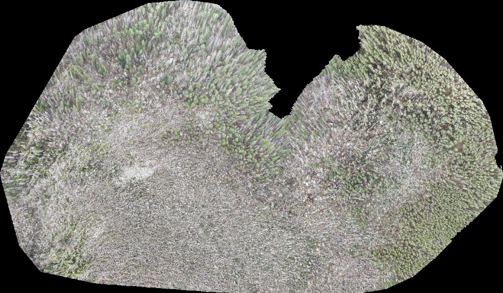 Taylor Ridge Ranch and RV Park Geyser Pass Yurt